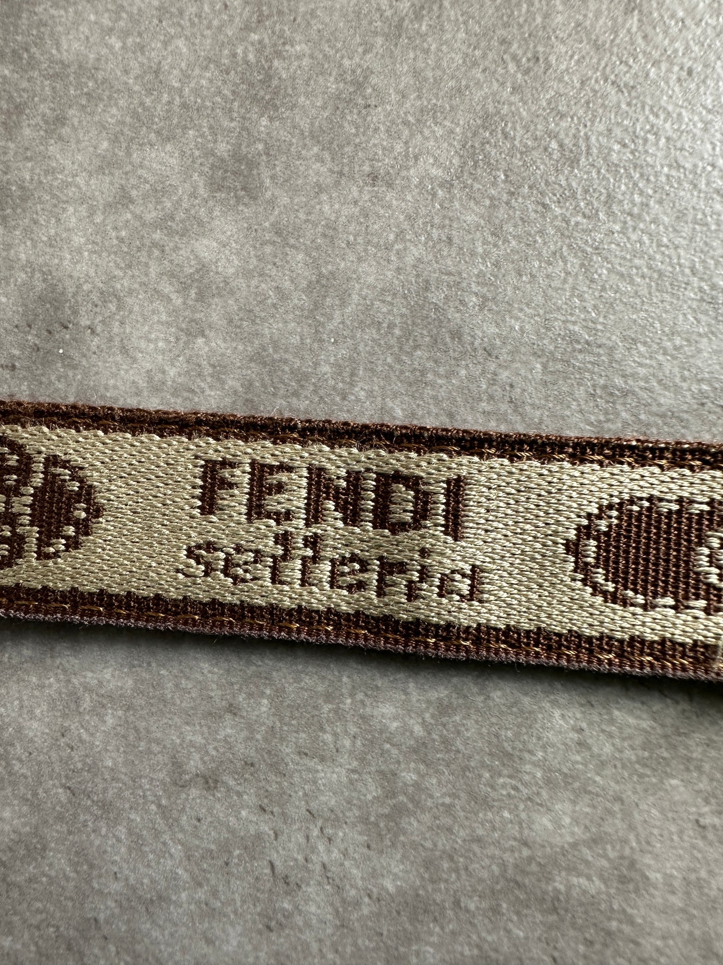 Fendi Bag
